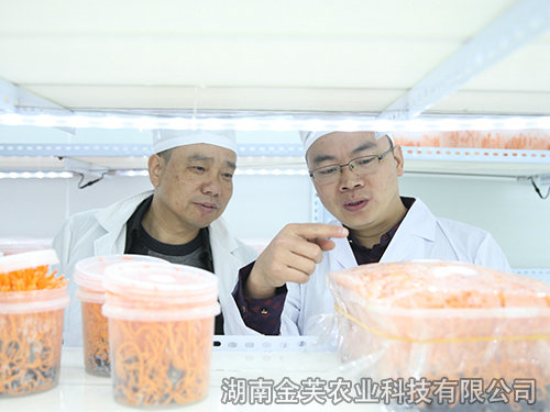 衡陽縣領(lǐng)導(dǎo)蒞臨指導(dǎo)工作 衡陽縣領(lǐng)導(dǎo)蒞臨指導(dǎo)工作